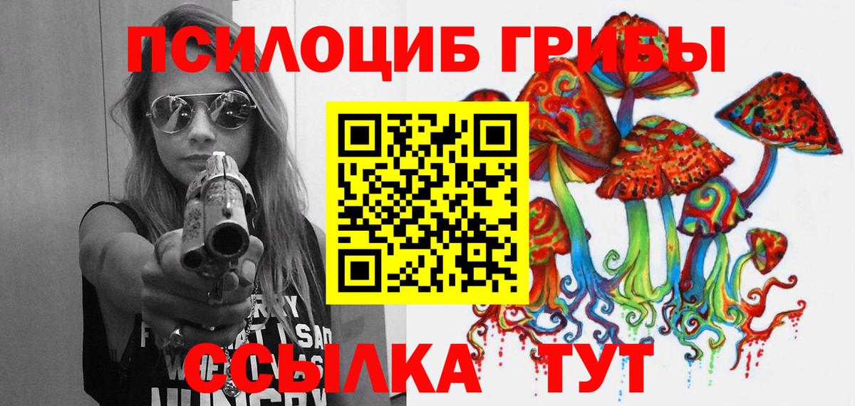 Псилоцибиновые грибы Psilocybine cubensis Шали