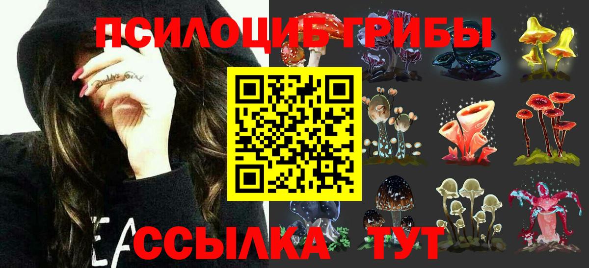 Галлюциногенные грибы мухоморы  Вход с VPN  Псилоцибиновые грибы мицелий  наркошоп  Шали 